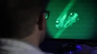 Mayo Clinic Zebrafish Program