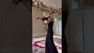 Alleks - Solo Violinist - Can You Feel The Love Tonight - ELM Agency