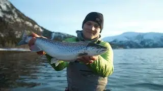 FULL FILM The Maximum Code - Vol. 3 - Nowhere in Norway