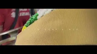 La rebel pumas orgullo azul y oro  [ Guma rebel pumas ]