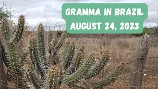 Video Letter of August 2023