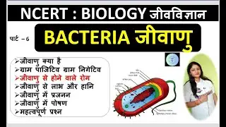 Bacteria से होने वाले रोग तथा उपचार रोगथाम|bacteria का वर्गीकरण | Structure of Bacteria | Part -6 I
