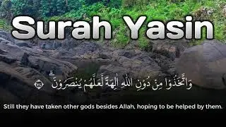Calm Recitation | Faith and Patience – Surah Yasin