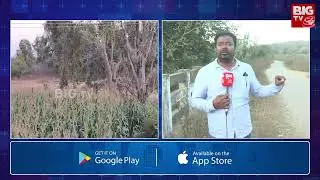 బయ్యారం అడ&zwnj;వుల్లో అల&zwnj;జ&zwnj;డి..పోలీసుల కూంబింగ్ | Police Kumbing at Bayyaram Forest | BIG TV