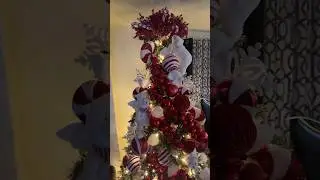 Merry Christmas, hope you have a great Christmas😁 #centralnewyork #christmastree #christmasdecor