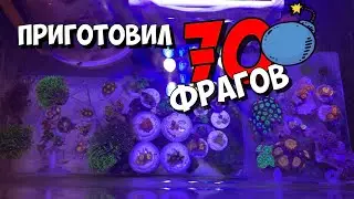 70 фрагов для приморцев!