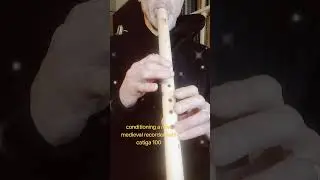 New medieval recorder, playing cantiga 100#medievalmusic #violistdenhaag #recorder