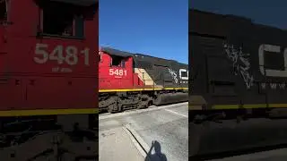 Canadian National - CN train in Squamish