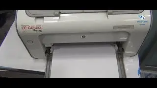HP Laser Jet 1102 Printer Paper Jam Problem Solution