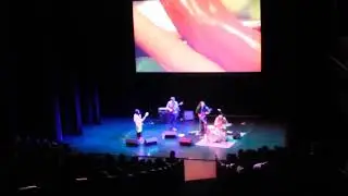 Deerhoof band live on stage