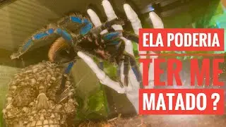 Fiz essa mudança para evitar ACIDENTES