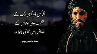 Sultan Salahuddin Ayyubi Quotes in Urdu /Hindi || Meaningful Aqwal e Zareen of Salahuddin Ayyubi
