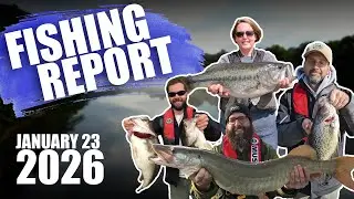 Fishing Report - January 23, 2026