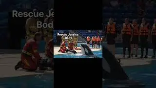 Rescue Jessica's Body #orca orca