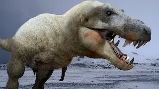 Wie Sahen Die Dinosaurier Der Antarktis Vor 100 Millionen Jahren Aus?