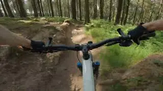 Rowberrow Warren MTB - Top of 