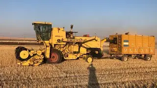 NEW HOLLAND CLAYSON 1545 2021 BUĞDAY HASADI