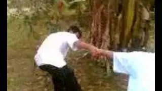asian treasures ni captrain barbel