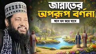 জান্নাতের অপরূপ বর্ণনা শুনে মন ভরে যাবে | তারেক মনোয়ার ওয়াজ | tarek monowar waz | পুরাতন ওয়াজ