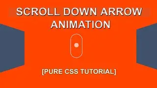 How To Make An Website Scroll Down Arrow Animations Using HTML and CSS Only |  Down Arrow Effects