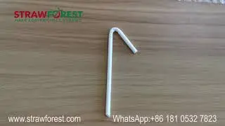 Straw Forest Individual Line Wrapped Flexible Paper Straws