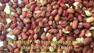 MEYER RGB CCD  PEANUT SORTING MACHINE