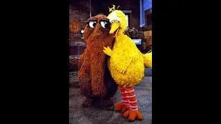 Don't worry, Snuffie (Sesame Street)