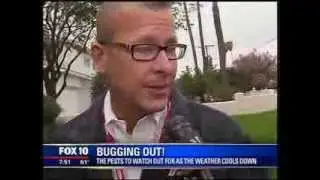 Cooler Weather Pest Control: Prevention Tips From Arrow Exterminators