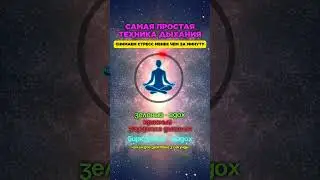 Дыши, чтобы почувствовать  #медитация  #дыхание  #reset  #победитьстресс  #психология  #магия  #душа