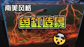 【002】}开缸视频|南美原生缸开缸|鱼缸造景|鱼缸|生态鱼缸|新手鱼缸|