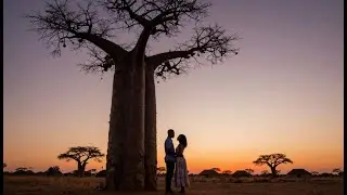 Roho ya Afrika &mdash; Spiritual African Meditation & Nature Healing Music