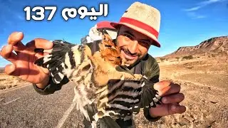 اليوم 137 من رحلة عبر المغرب 🇲🇦 2026 مشيا على الأقدام ممنوع ركوب أي وسيلة نقل ❌️🚶