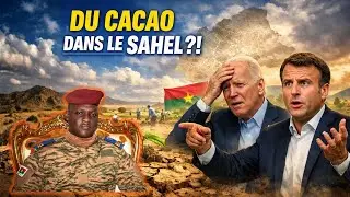 Ibrahim Traor&eacute; D&eacute;fi Imposant: Le Cacao dans le Sahel, 15% des Plants Survivants!