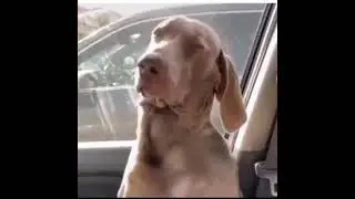 Duford listen