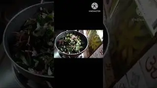 Red leaf fry saga bhaja 🤤🤤🥰🥰#cook with papuni