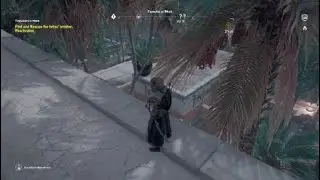 The Lizards' Mask - AC&reg; Origins