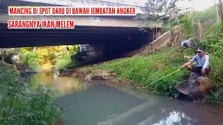  Mancing Ikan Melem Di Spot Baru Di Bawah Jembatan Angker Panen Strike 