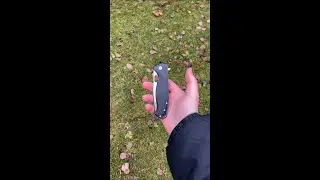 Viper Fortis G10