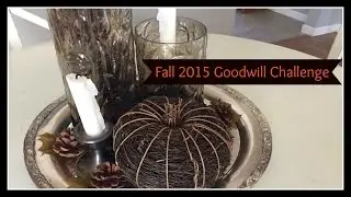 Fall 2015 Goodwill Challenge