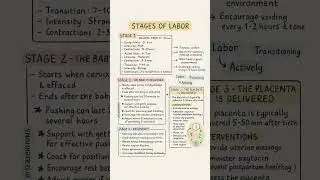 Stages of labor .