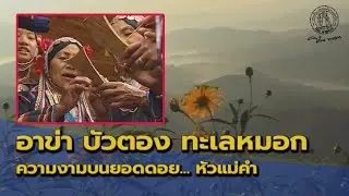 ส่องโลก ตอน เมื่อหมอกเหมย..เริงระบำ บนดอยหัวแม่คำ (ออกอากาศ 5 ม.ค. 2551)