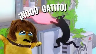 Ayudando a un gatito a VOLVER A CASA
