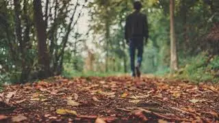 Walking on Autumn Leaves - Sound Effect