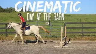 Day at the Barn!
