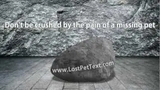 Find your lost dog fast.