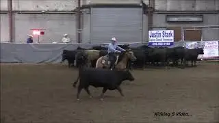 Ro Reysns Bamacat-URCHA-Herd