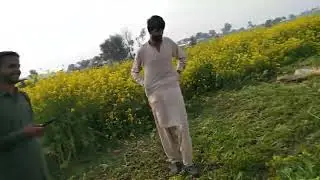 For you bahawalpur 31bc Dera Bakha pindaly dasi jutt paa jutt virl videos 