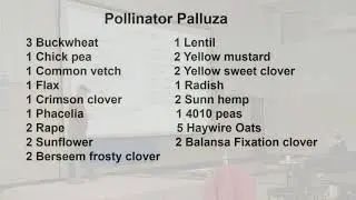 The Benefit of Pollinator Strips