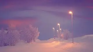 ＰＵＲＰＬＥ ＨＯＵＲ // vaporwave / synthwave music
