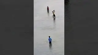 jonymija water cricket #cricket #video